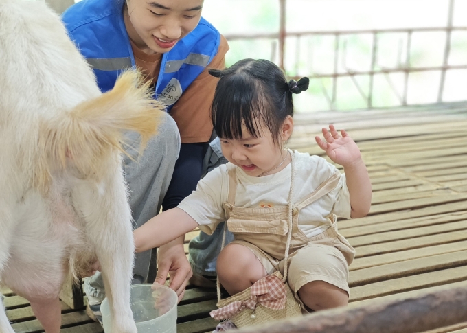 Trẻ em trải nghiệm vắt sữa d&ecirc; tại n&ocirc;ng trại. Ảnh: Detrang farm