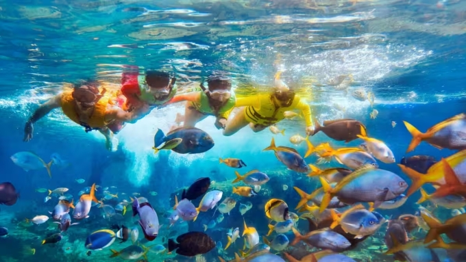 Trải nghiệm lặn biển tại Rainbow Reef mang đến trải nghiệm kh&aacute;m ph&aacute; thế giới đại dương đầy m&agrave;u sắc. Ảnh: Sentosa